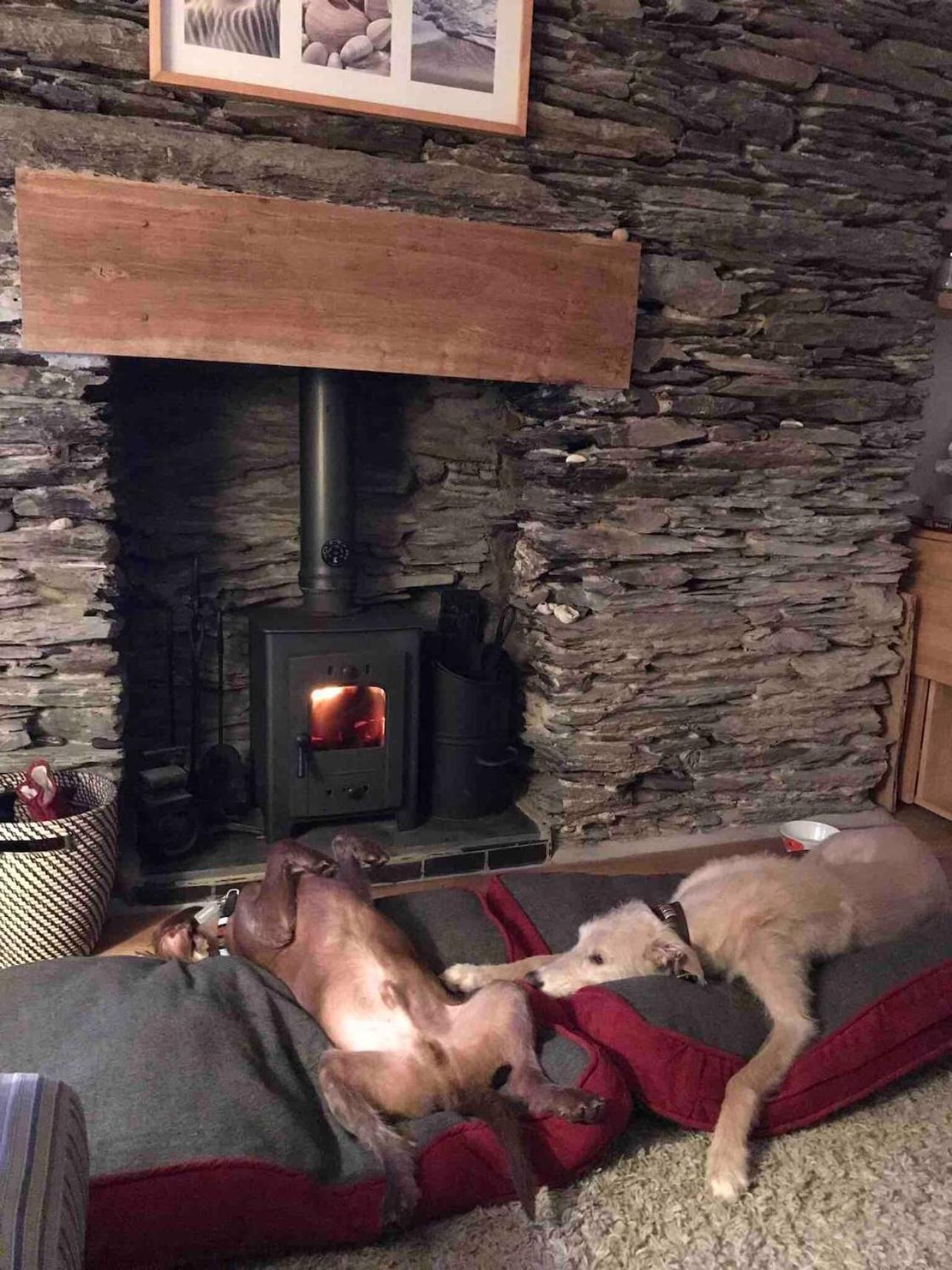 Holiday home Pebble Aberdyfi